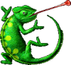 Chameleon's picture